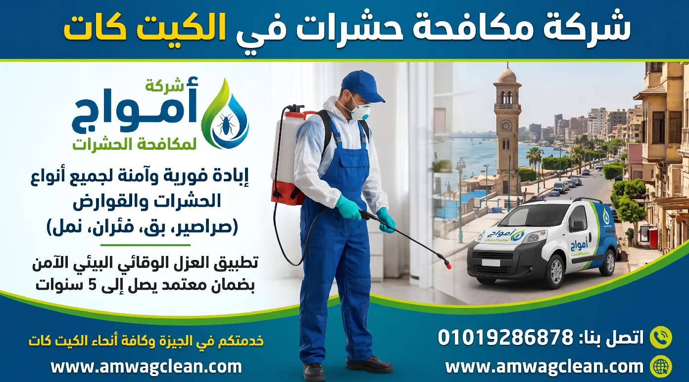 فني شركة أمواج أثناء فحص ومكافحة الحشرات في شقة بمنطقة الكيت كات بالجيزة